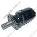 hydraulic motor
