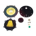 Impco repair kit for Cobra with cap