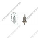 halogenlamp H1 12V-55W