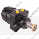 Drive motor, hydraulic