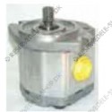 hydraulic pump