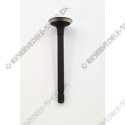 exhaust valve