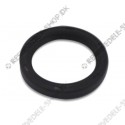 oil seal