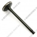 intake valve