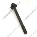 bolt, cylinder head