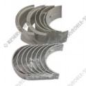 main bearing set