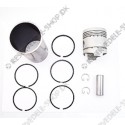sleeve assy. (piston, rings, sleeve) (5x ring)