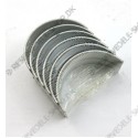 main bearing set 6x
