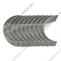 main bearing set