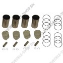 sleeve assy. (piston, rings, sleeve)