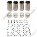 sleeve assy. (piston, rings, sleeve)